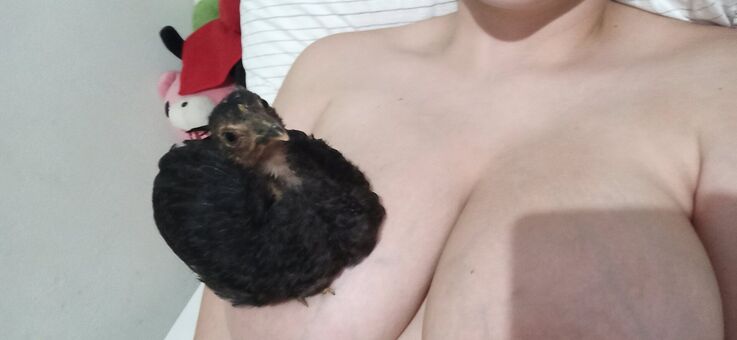 Alinorac Голі Зливи OnlyFans Фото 17