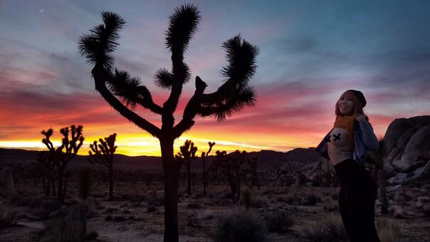 Angelica Danger Dawn