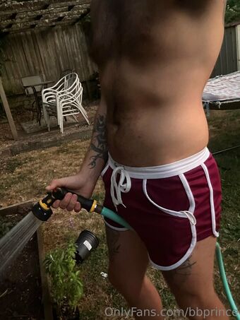 bbprince Голі Зливи OnlyFans Фото 15
