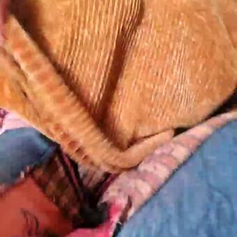 Cami Sweet Голі Зливи OnlyFans Фото 40