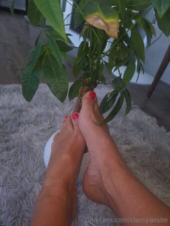 classydesire Голі Зливи OnlyFans Фото 12