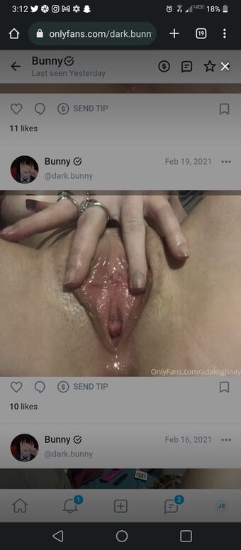 Dark.Bunny