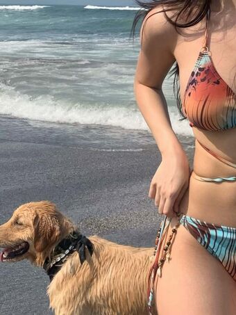 Ellen Tan Голі Зливи OnlyFans Фото 126