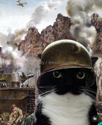 executionergf Голі Зливи OnlyFans Фото 12