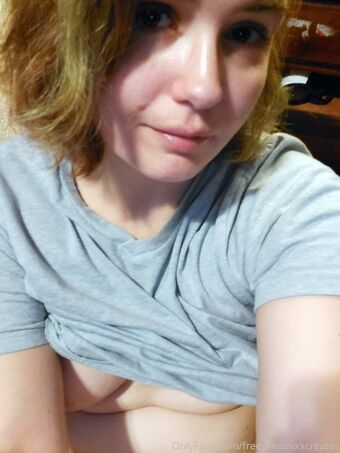 freephoenixxcreates Голі Зливи OnlyFans Фото 11