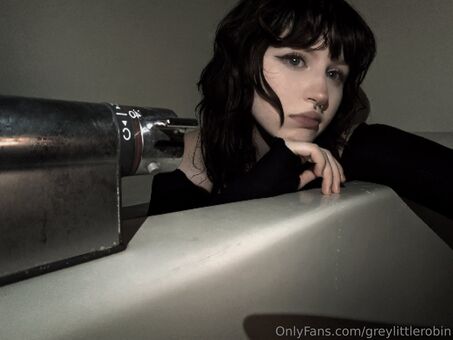 greylittlerobin