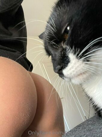 hollymoonvvip Голі Зливи OnlyFans Фото 3