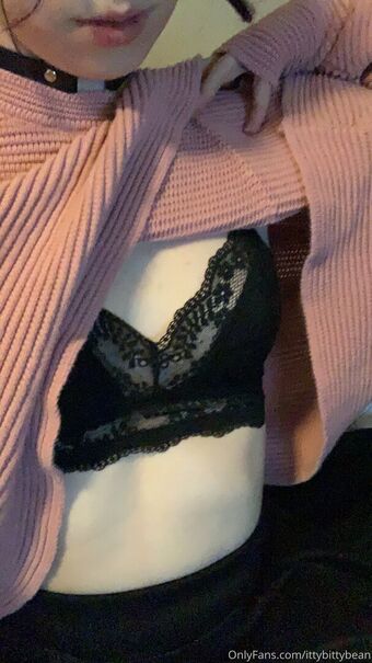 ittybittybean Голі Зливи OnlyFans Фото 8