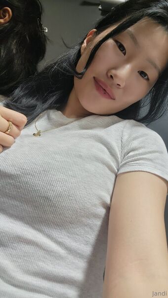 jandvip