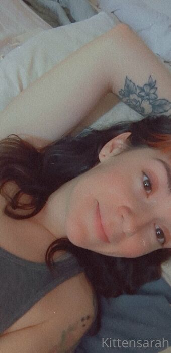 Kitten Sarah