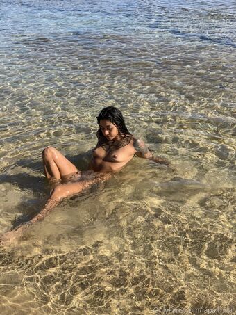 lapalmita_