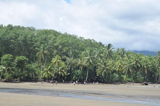 Leilani Azalea Голі Зливи OnlyFans Фото 31