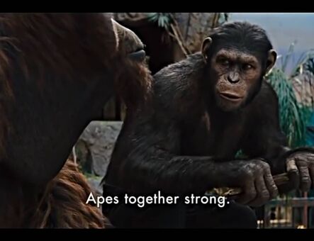 lilijunex Голі Зливи OnlyFans Фото 125