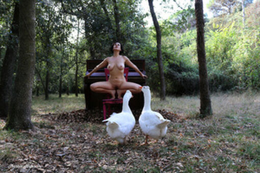 Luz Del Fierro Голі Зливи OnlyFans Фото 57