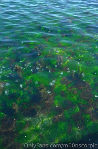 m00nscorpio