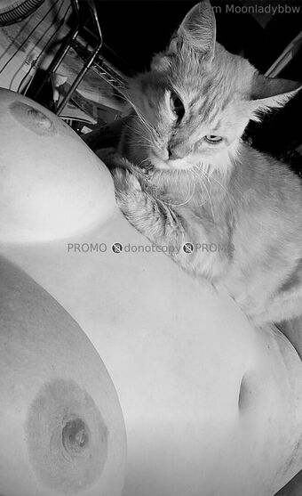 onesweetone Голі Зливи OnlyFans Фото 1