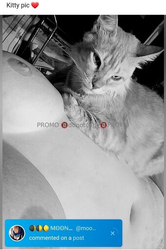 onesweetone Голі Зливи OnlyFans Фото 2