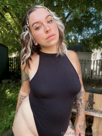 opalcat Голі Зливи OnlyFans Фото 17