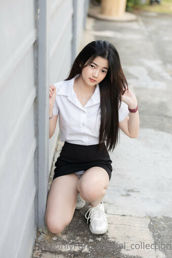pl_collection