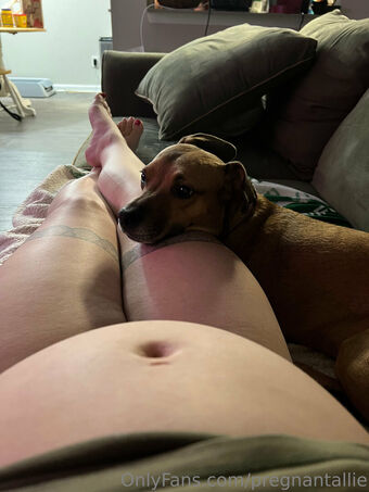 pregnantallie