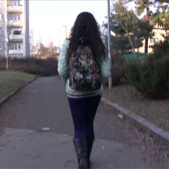 Public Agent