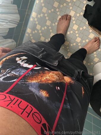 pythonpapi1041 Голі Зливи OnlyFans Фото 2