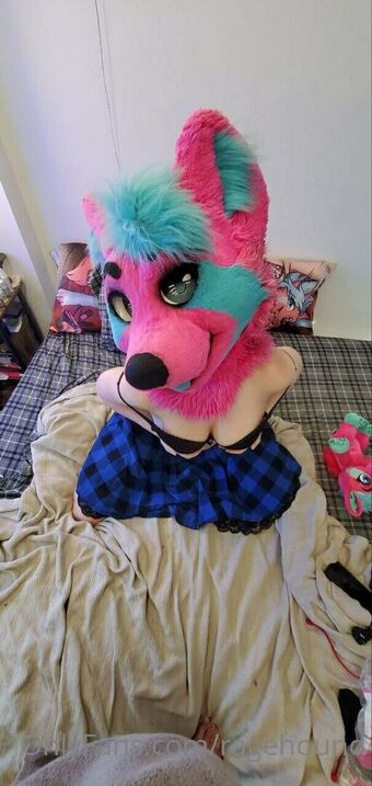 ragehound Голі Зливи OnlyFans Фото 5