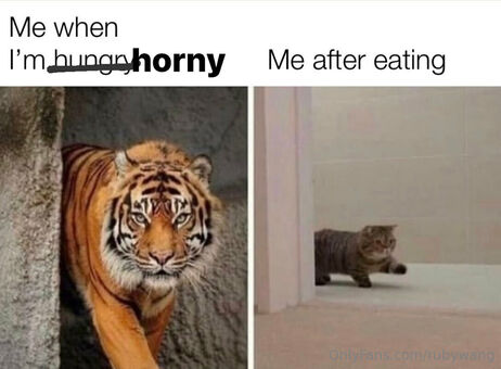 rubywang Голі Зливи OnlyFans Фото 10