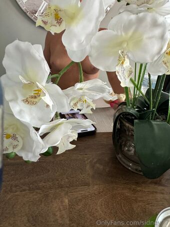 sidney77 Голі Зливи OnlyFans Фото 13