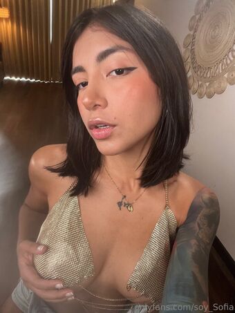 soysofia_2 Голі Зливи OnlyFans Фото 54