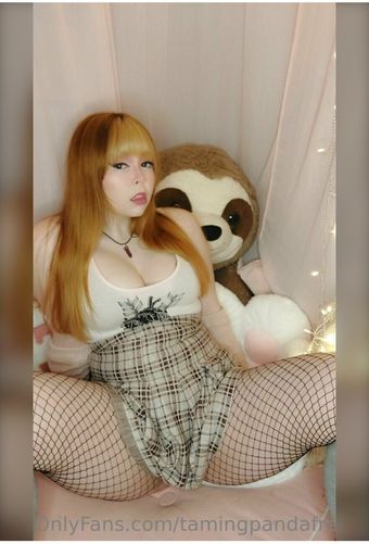 TamingPanda