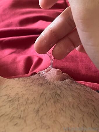 tinyrealmoth Голі Зливи OnlyFans Фото 29