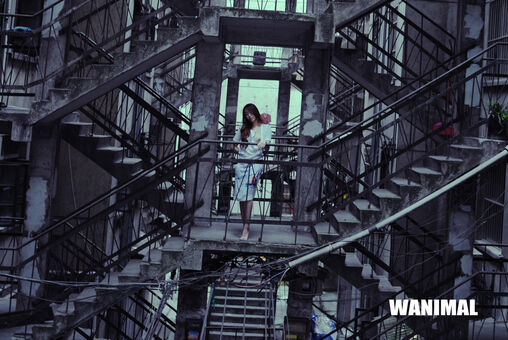 Wanimal Models Голі Зливи OnlyFans Фото 377