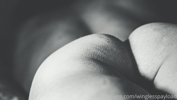 winglesspayload Голі Зливи OnlyFans Фото 6